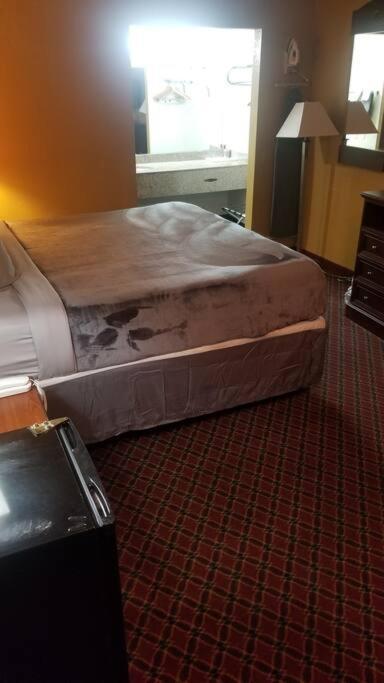 Apartment Queen Bed 213 Wi-fi *